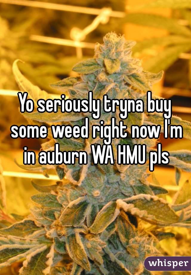 Yo seriously tryna buy some weed right now I'm in auburn WA HMU pls