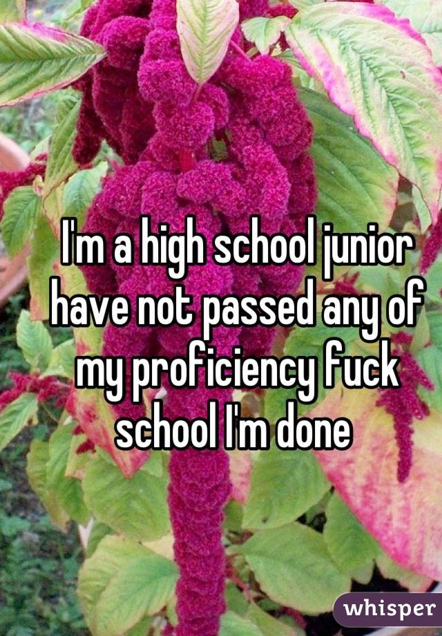 I'm a high school junior have not passed any of my proficiency fuck school I'm done 
