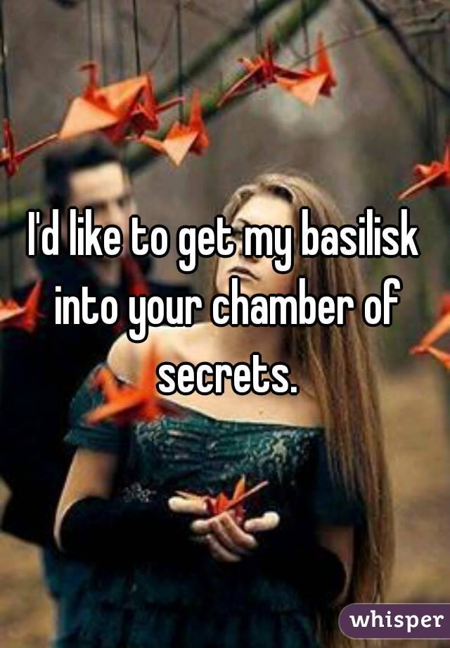 I'd like to get my basilisk into your chamber of secrets.