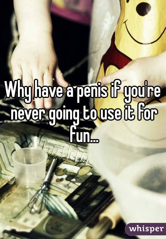 Why have a penis if you're never going to use it for fun...