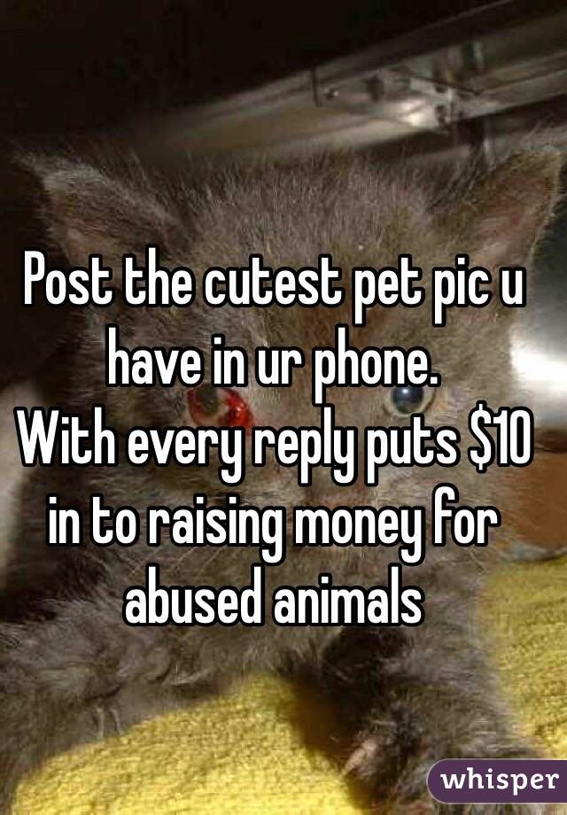 Post the cutest pet pic u have in ur phone. 
With every reply puts $10 in to raising money for abused animals