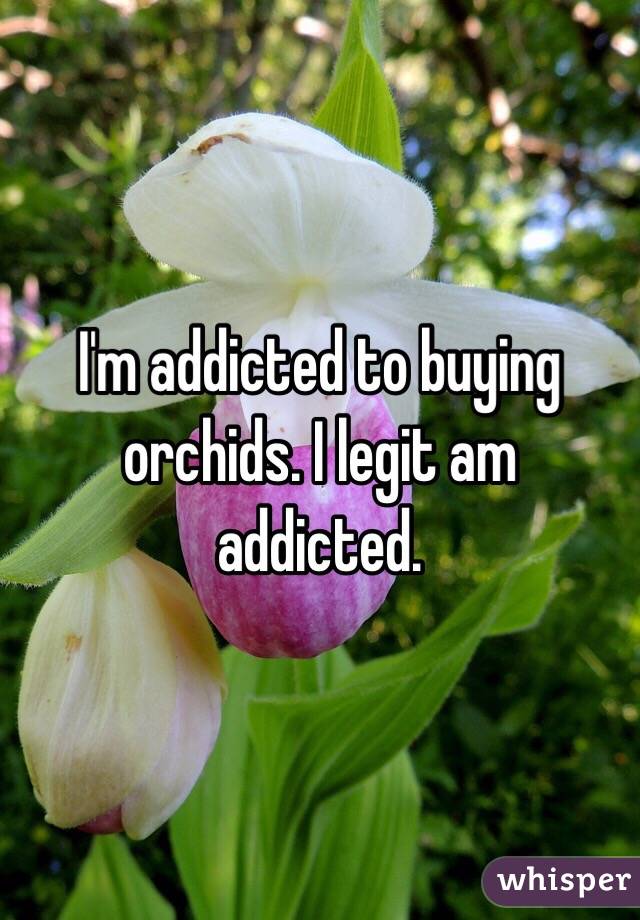 I'm addicted to buying orchids. I legit am addicted. 