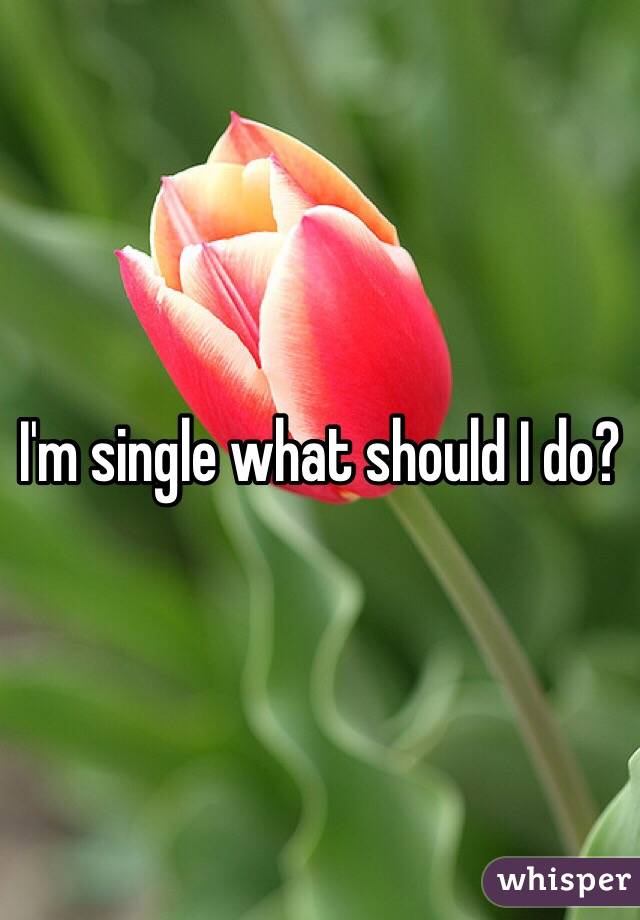 I'm single what should I do?