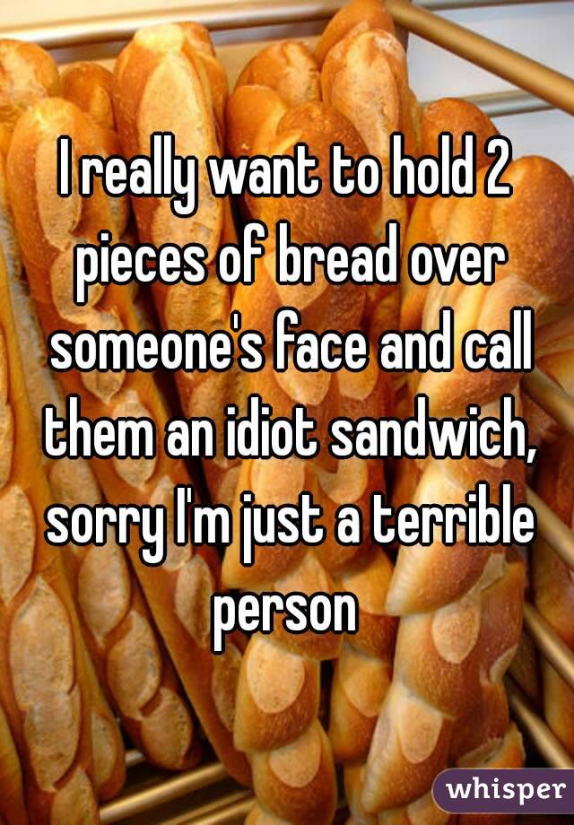 I really want to hold 2 pieces of bread over someone's face and call them an idiot sandwich, sorry I'm just a terrible person 