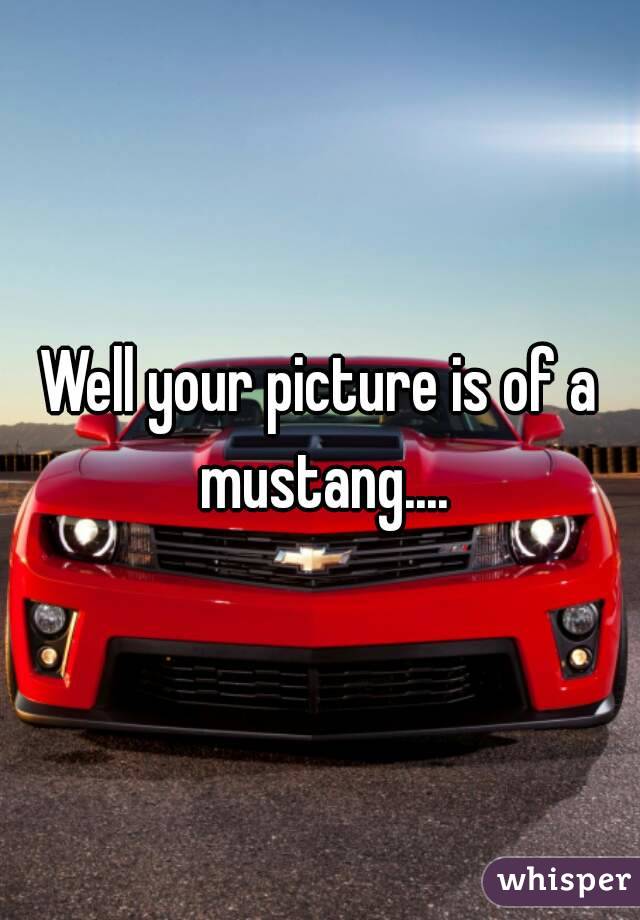 Well your picture is of a mustang....