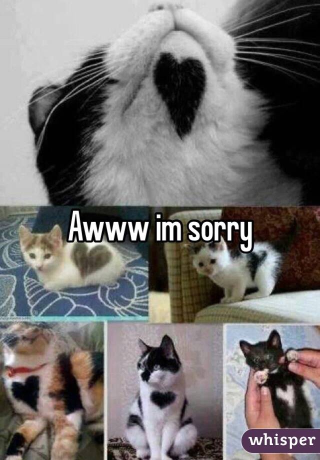 Awww im sorry 