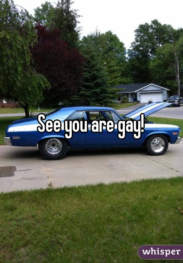 See you are gay!