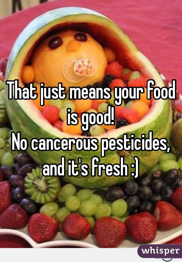 That just means your food is good!
No cancerous pesticides, and it's fresh :)