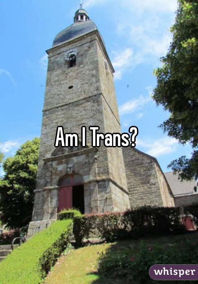 Am I Trans? 