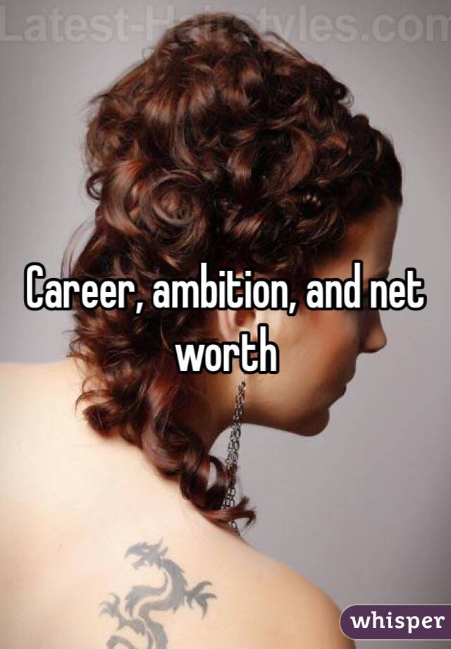 Career, ambition, and net worth 