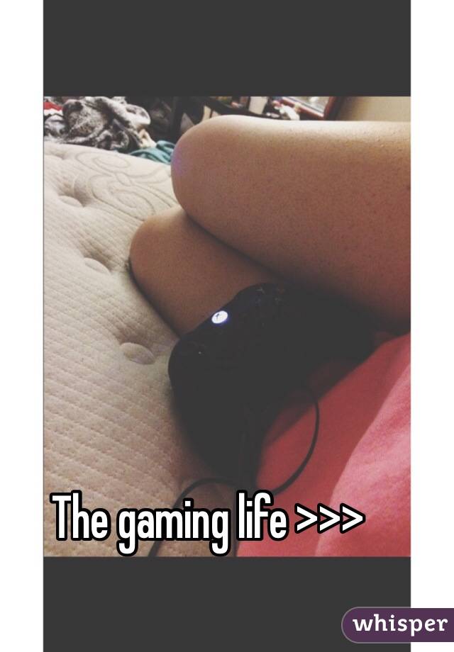 The gaming life >>>