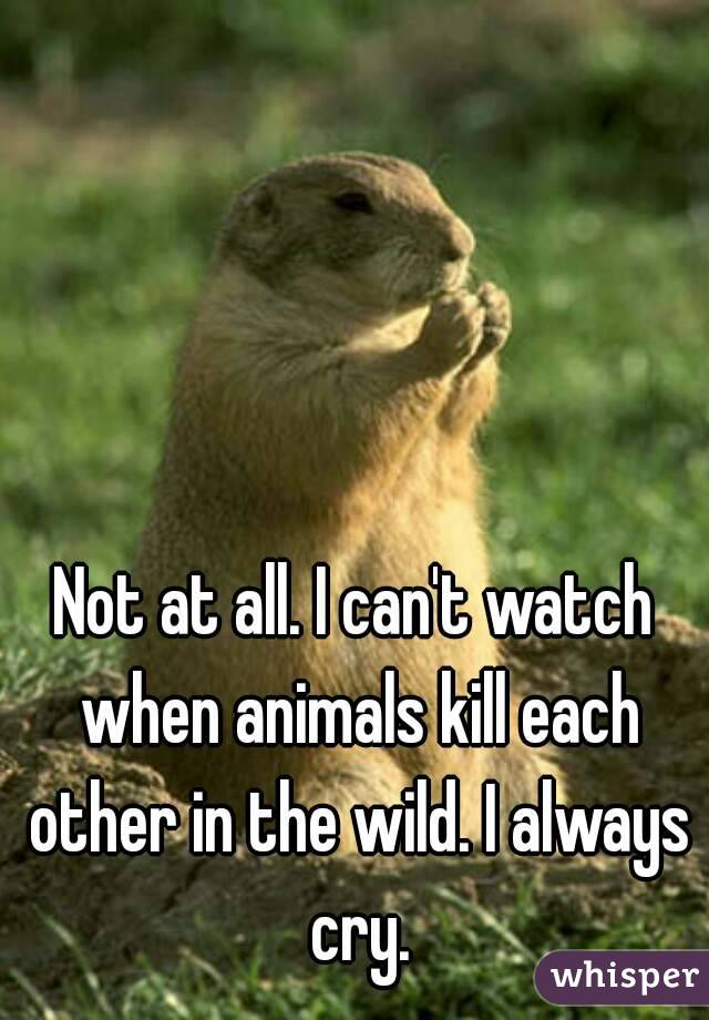 Not at all. I can't watch when animals kill each other in the wild. I always cry.