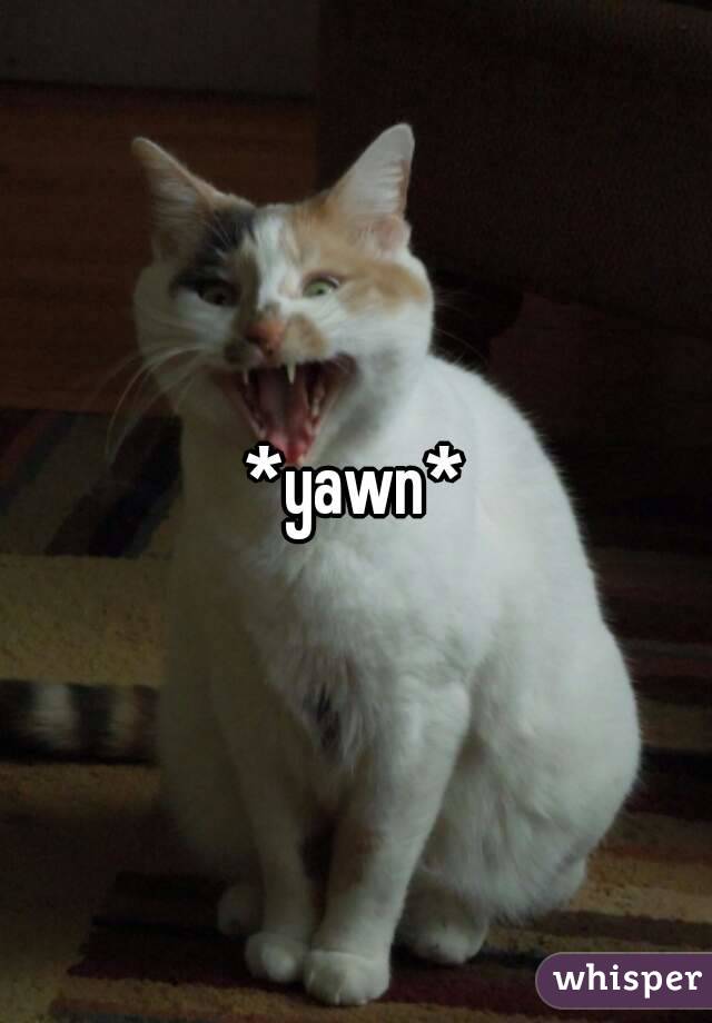 *yawn*