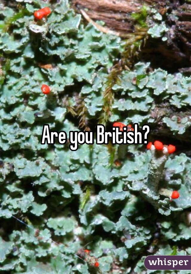 Are you British?