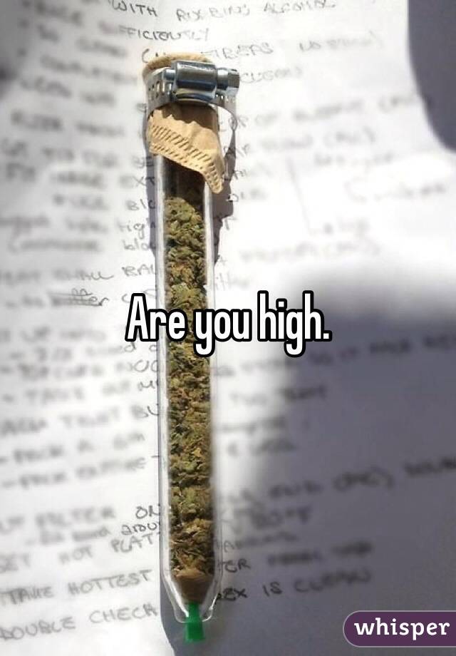 Are you high.  