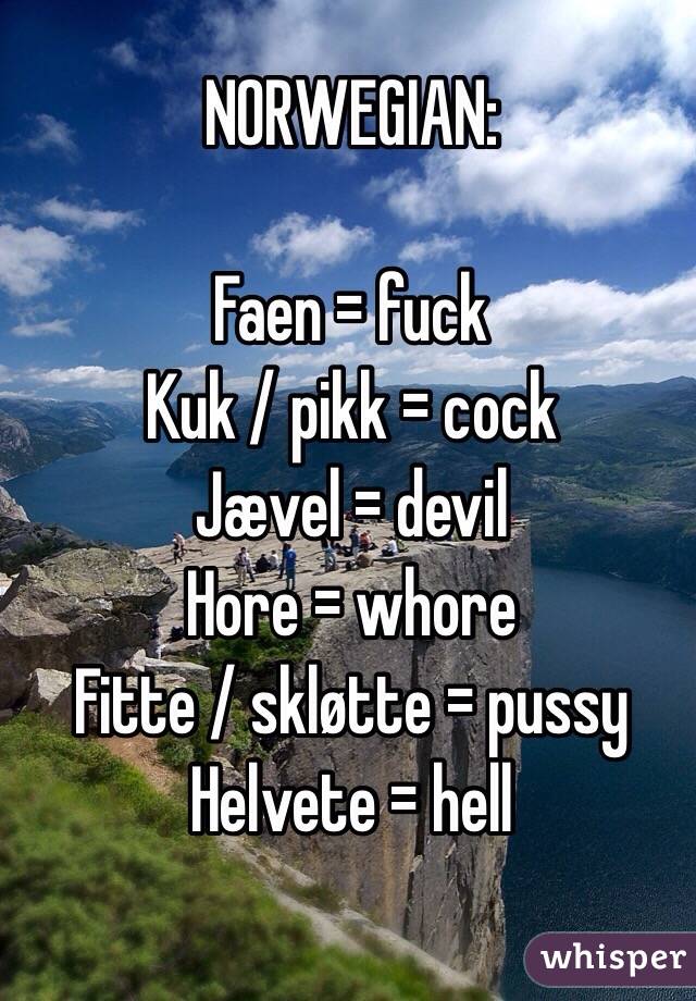 NORWEGIAN:

Faen = fuck
Kuk / pikk = cock
Jævel = devil
Hore = whore
Fitte / skløtte = pussy
Helvete = hell