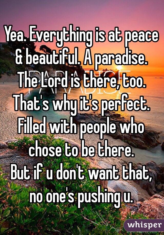 Yea. Everything is at peace & beautiful. A paradise. The Lord is there, too. That's why it's perfect. Filled with people who chose to be there.
But if u don't want that, no one's pushing u.