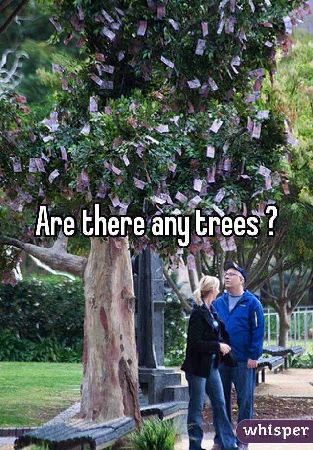 Are there any trees ? 