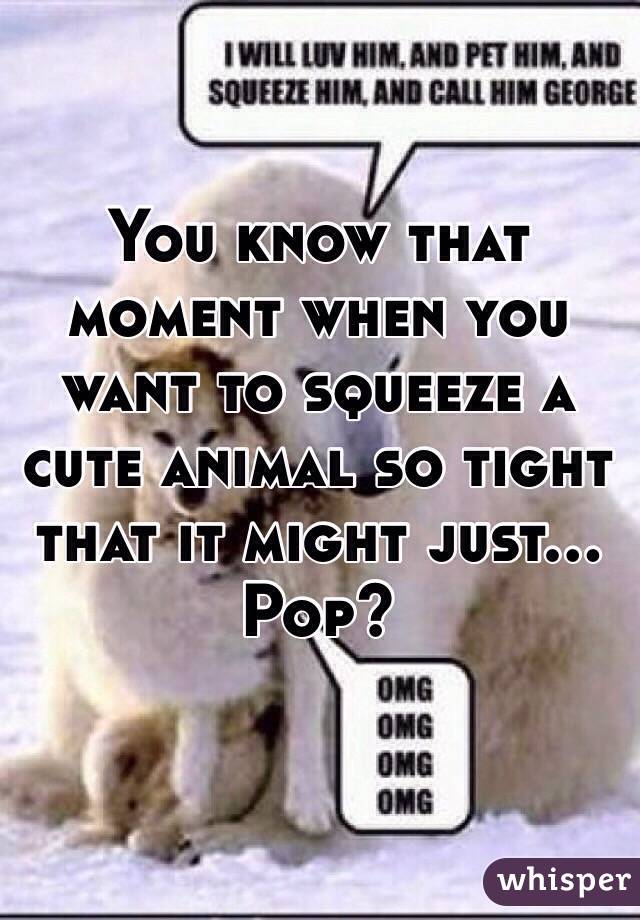 You know that moment when you want to squeeze a cute animal so tight that it might just... Pop?