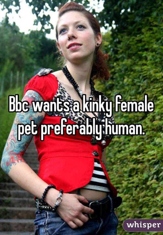 Bbc wants a kinky female pet preferably human.