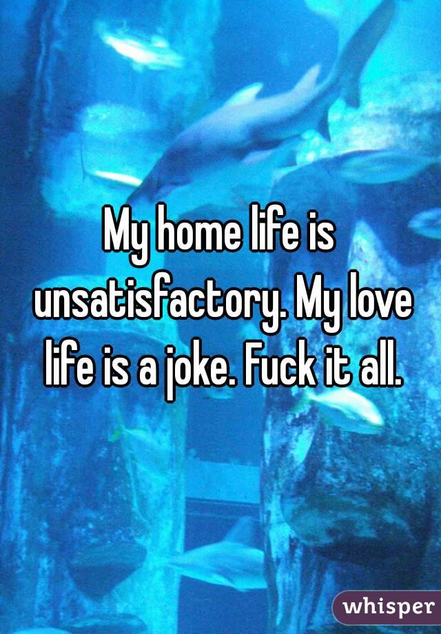 My home life is unsatisfactory. My love life is a joke. Fuck it all.