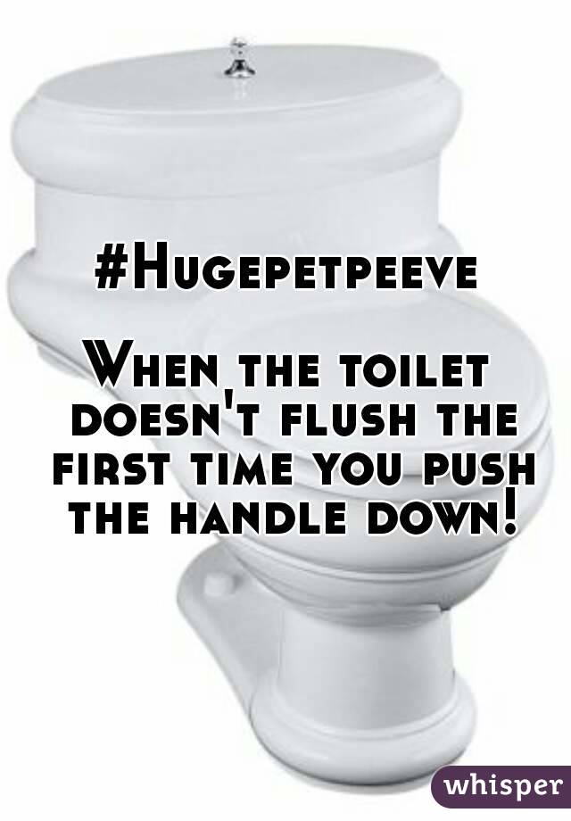 #Hugepetpeeve

When the toilet doesn't flush the first time you push the handle down!