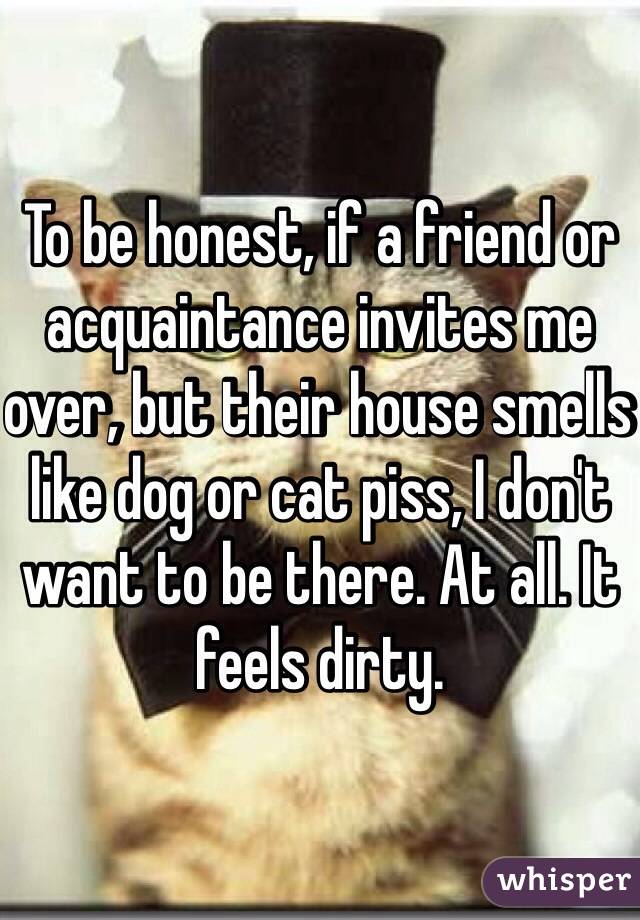 To be honest, if a friend or acquaintance invites me over, but their house smells like dog or cat piss, I don't want to be there. At all. It feels dirty.