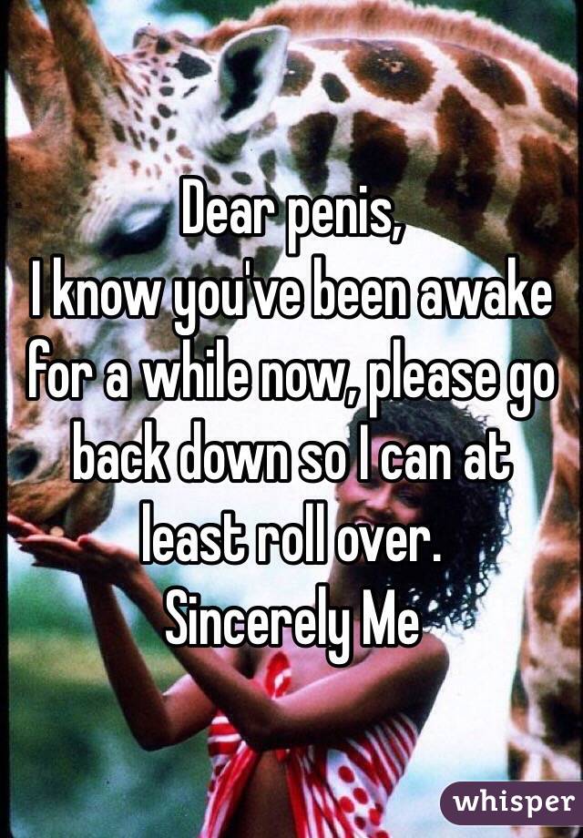 Dear penis, 
I know you've been awake for a while now, please go back down so I can at least roll over. 
Sincerely Me
