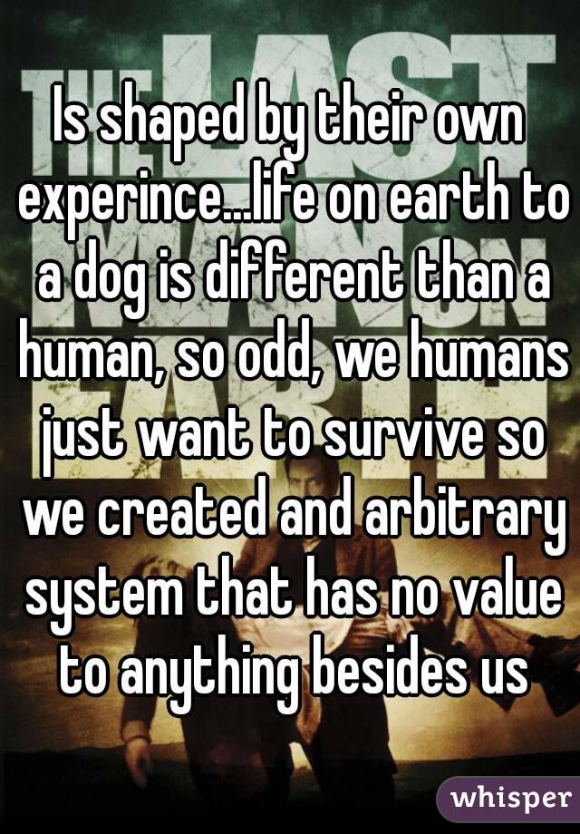 Is shaped by their own experince...life on earth to a dog is different than a human, so odd, we humans just want to survive so we created and arbitrary system that has no value to anything besides us