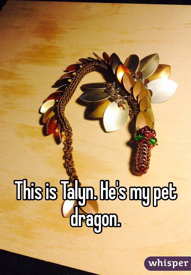 This is Talyn. He's my pet dragon. 