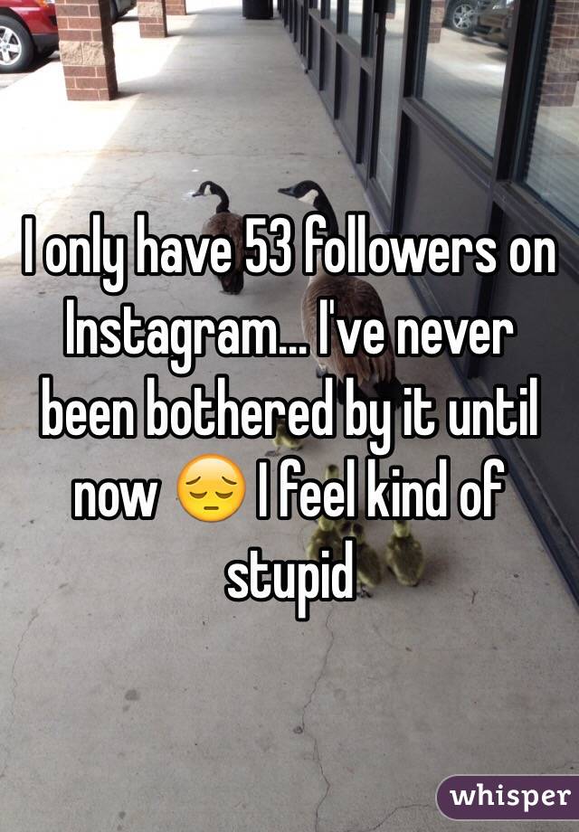 I only have 53 followers on Instagram... I've never been bothered by it until now 😔 I feel kind of stupid 
