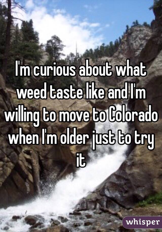 I'm curious about what weed taste like and I'm willing to move to Colorado when I'm older just to try it 