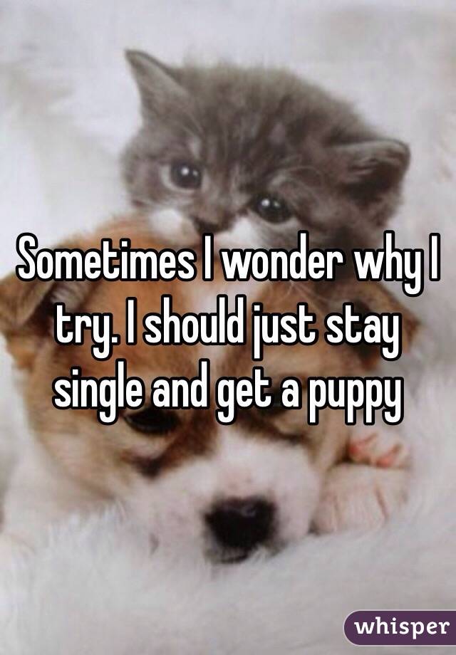 Sometimes I wonder why I try. I should just stay single and get a puppy 