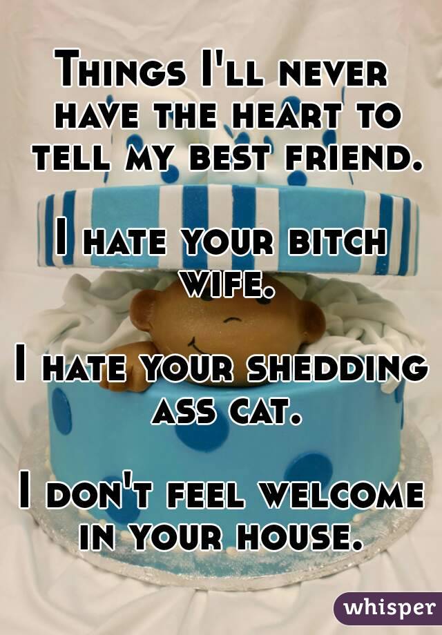 Things I'll never have the heart to tell my best friend.

I hate your bitch wife.

I hate your shedding ass cat.

I don't feel welcome in your house. 