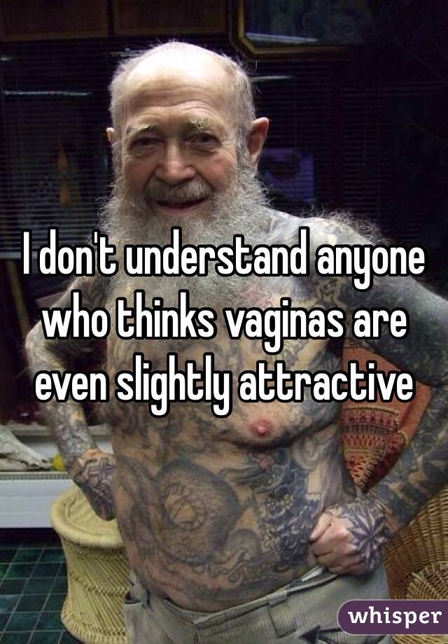 I don't understand anyone who thinks vaginas are even slightly attractive 