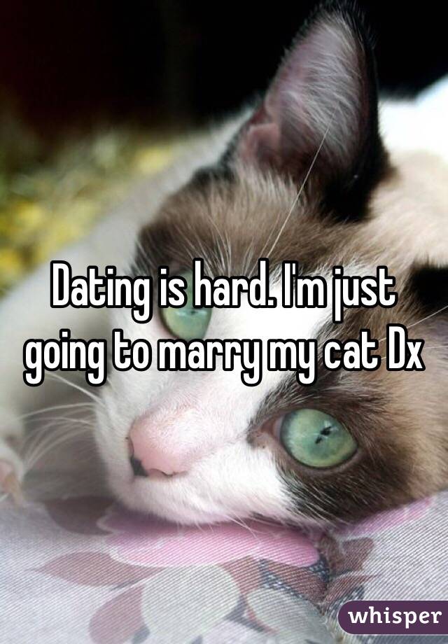 Dating is hard. I'm just going to marry my cat Dx