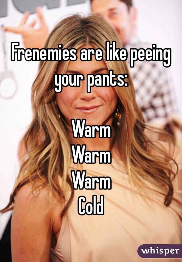 Frenemies are like peeing your pants:

Warm
Warm
Warm
Cold