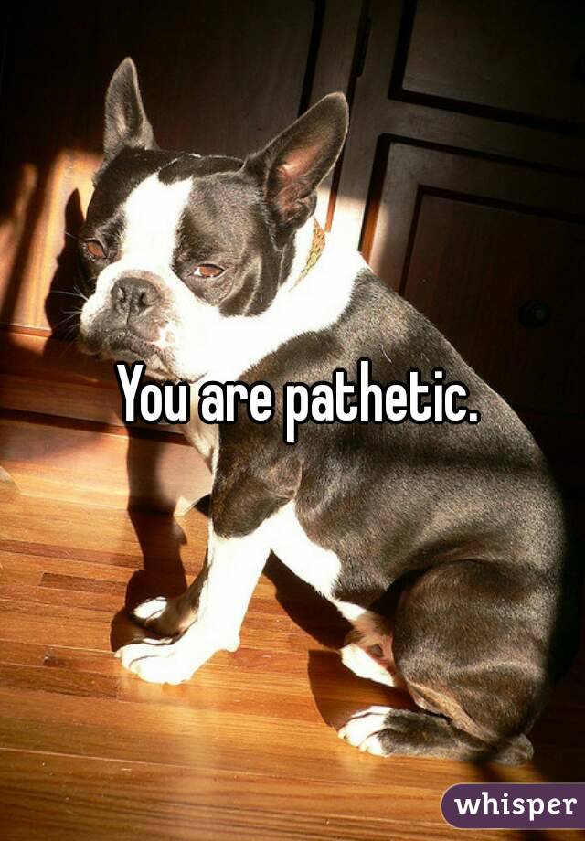  You are pathetic.