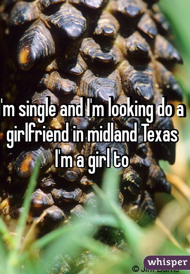 I'm single and I'm looking do a girlfriend in midland Texas I'm a girl to 