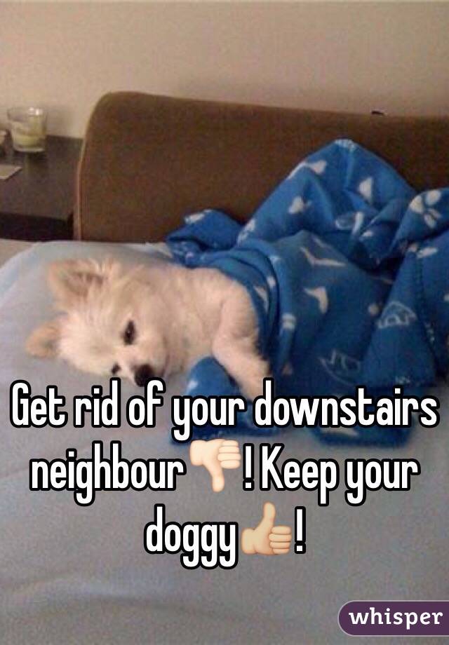 Get rid of your downstairs neighbour👎🏻! Keep your doggy👍🏼! 