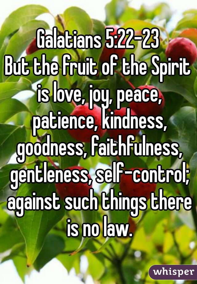 Galatians 5:22-23
But the fruit of the Spirit is love, joy, peace, patience, kindness, goodness, faithfulness, gentleness, self-control; against such things there is no law.