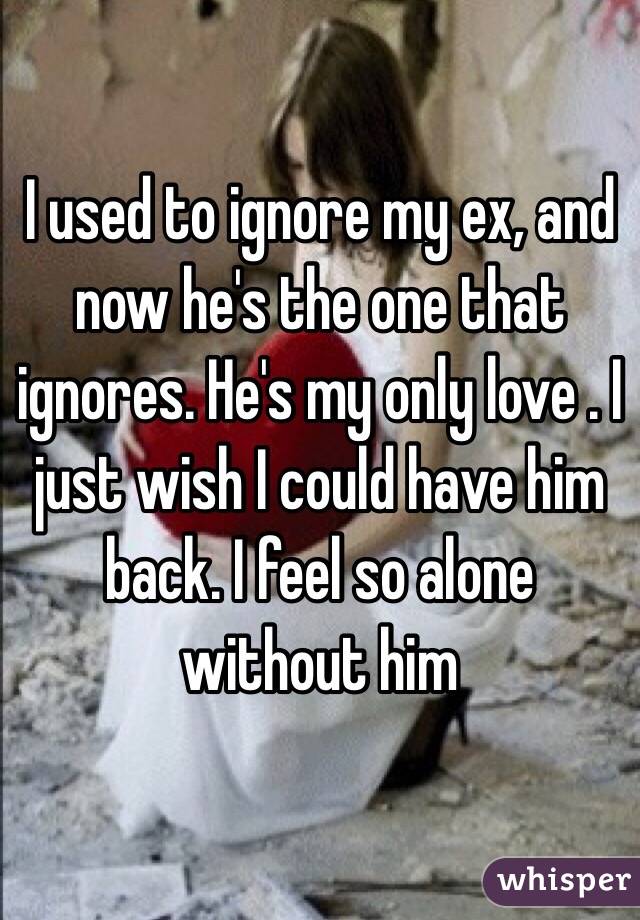 I used to ignore my ex, and now he's the one that ignores. He's my only love . I just wish I could have him back. I feel so alone without him 