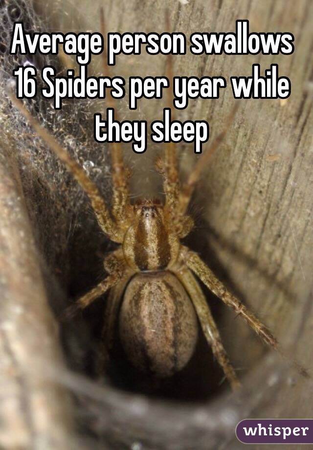 Average person swallows 16 Spiders per year while they sleep