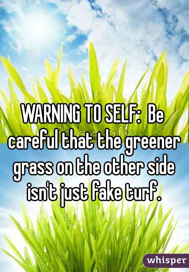 WARNING TO SELF:  Be careful that the greener grass on the other side isn't just fake turf.