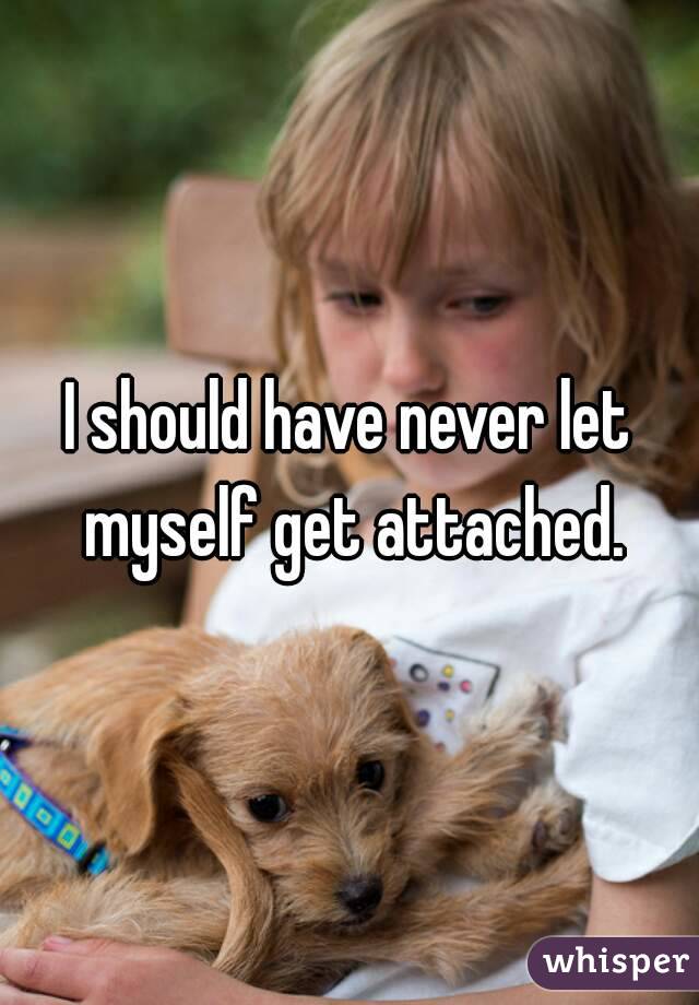 I should have never let myself get attached.