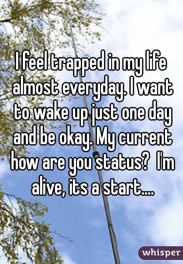 I feel trapped in my life almost everyday. I want to wake up just one day and be okay. My current how are you status?  I'm alive, its a start....