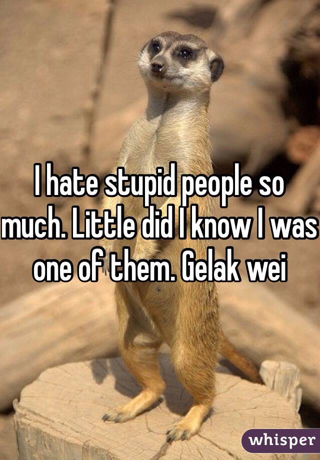 I hate stupid people so much. Little did I know I was one of them. Gelak wei