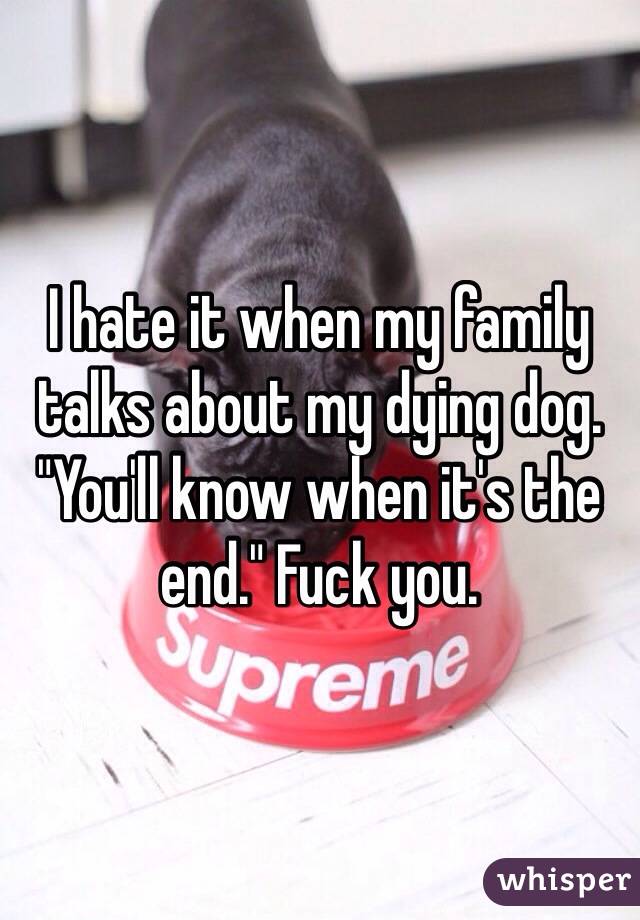 I hate it when my family talks about my dying dog. "You'll know when it's the end." Fuck you.