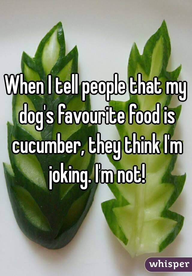 When I tell people that my dog's favourite food is cucumber, they think I'm joking. I'm not!