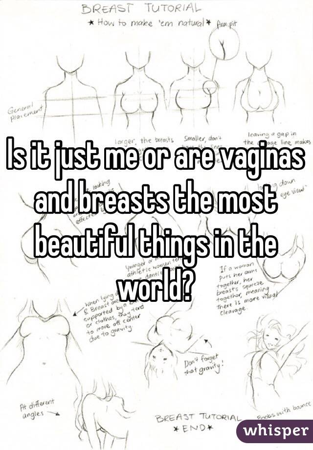 Is it just me or are vaginas and breasts the most beautiful things in the world?